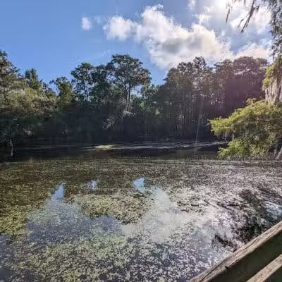 Wilderness Park Trout Creek Site - Thonotosassa, FL