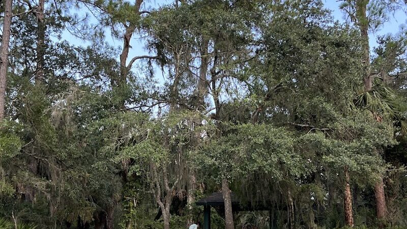 Wilderness Park Trout Creek Site - Thonotosassa, FL