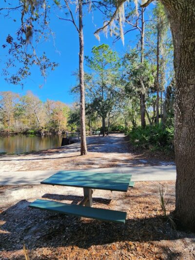Wilderness Park Trout Creek Site - Thonotosassa, FL