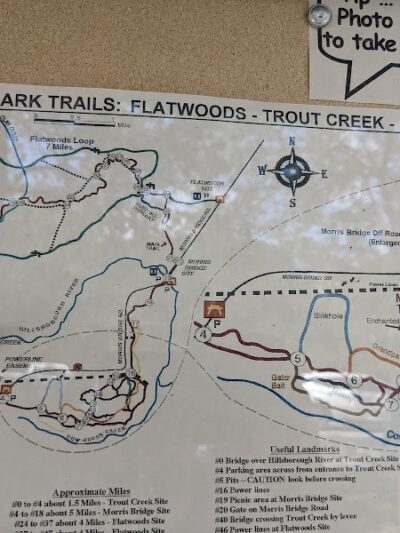 Wilderness Park Trout Creek Site - Thonotosassa, FL