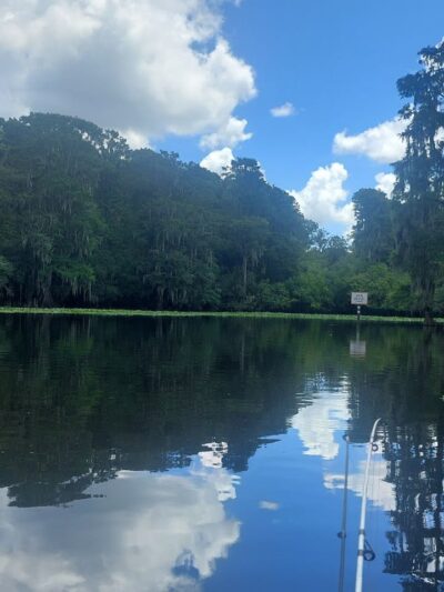Wilderness Park Trout Creek Site - Thonotosassa, FL