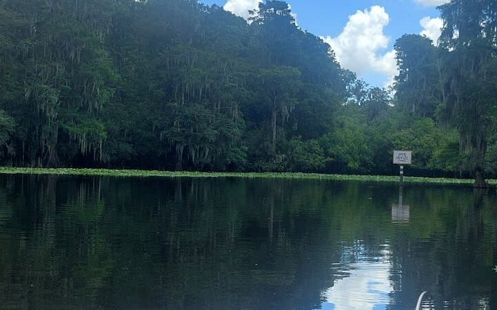 Wilderness Park Trout Creek Site - Thonotosassa, FL