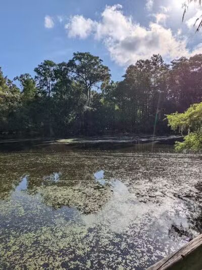 Wilderness Park Trout Creek Site - Thonotosassa, FL