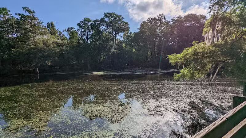 Wilderness Park Trout Creek Site - Thonotosassa, FL