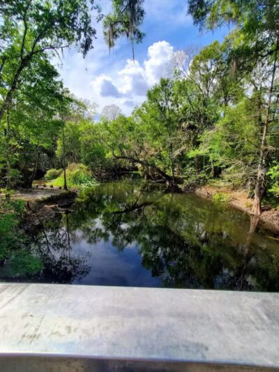 Wilderness park - Thonotosassa, FL