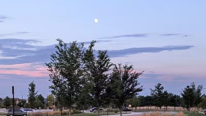 Trail Winds Park - Thornton, CO