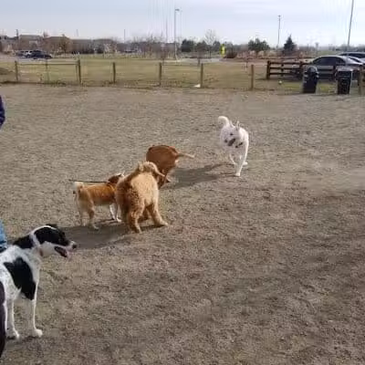 Trail Winds Park - Thornton, CO