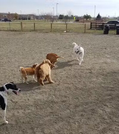 Trail Winds Park - Thornton, CO
