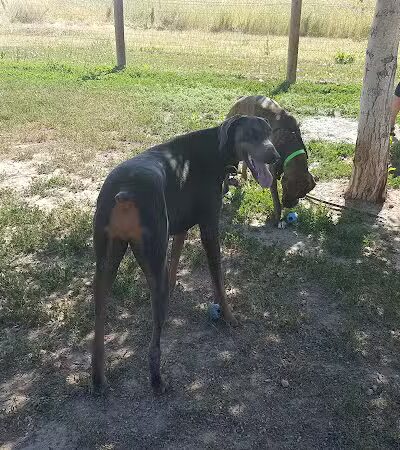 Trail Winds Park - Thornton, CO