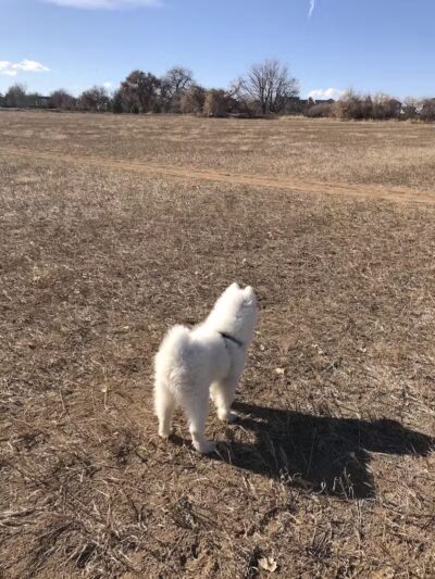 Trail Winds Park - Thornton, CO