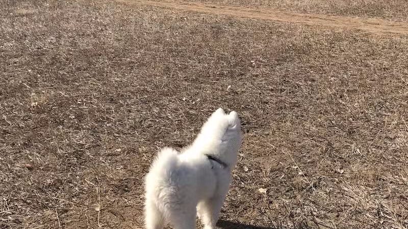 Trail Winds Park - Thornton, CO