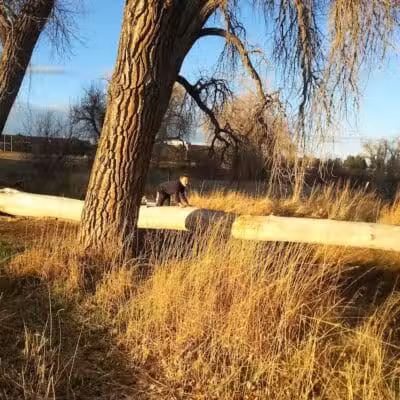 Trail Winds Park - Thornton, CO
