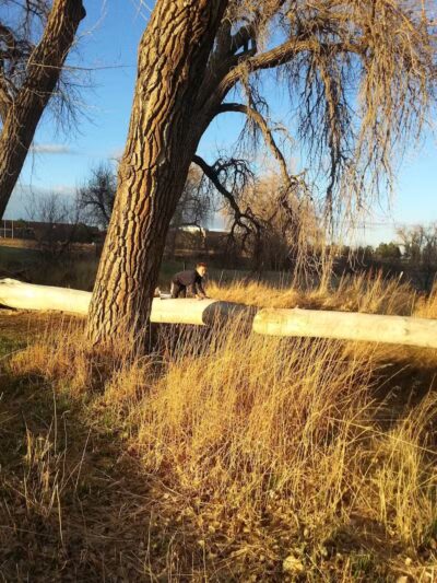 Trail Winds Park - Thornton, CO