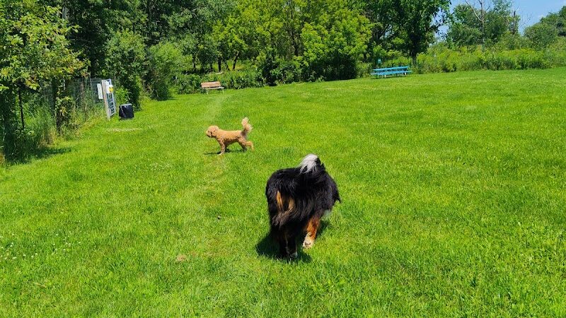 Tucker James Memorial Dog Park - Thorp, WI