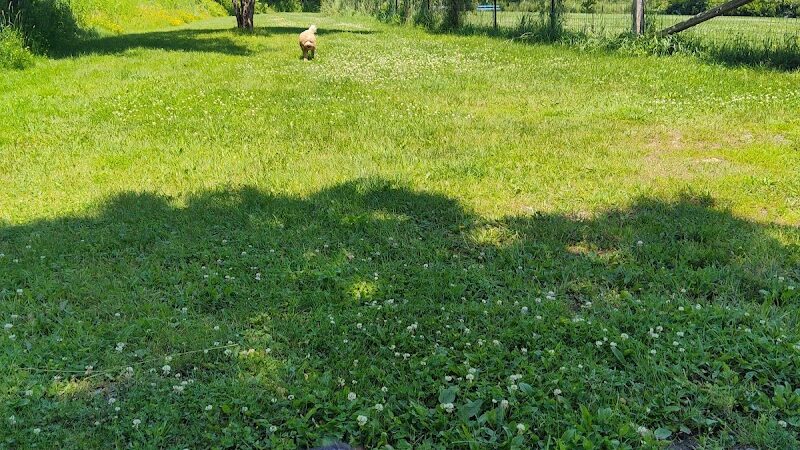 Tucker James Memorial Dog Park - Thorp, WI