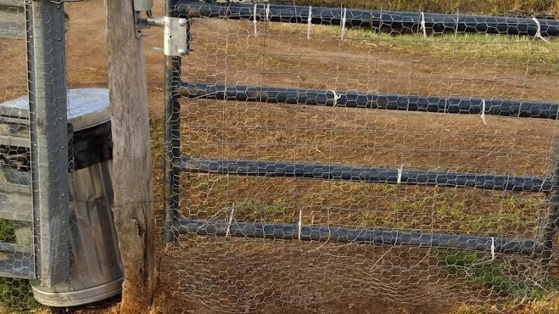 Tucker James Memorial Dog Park - Thorp, WI
