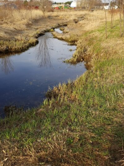 Tucker James Memorial Dog Park - Thorp, WI