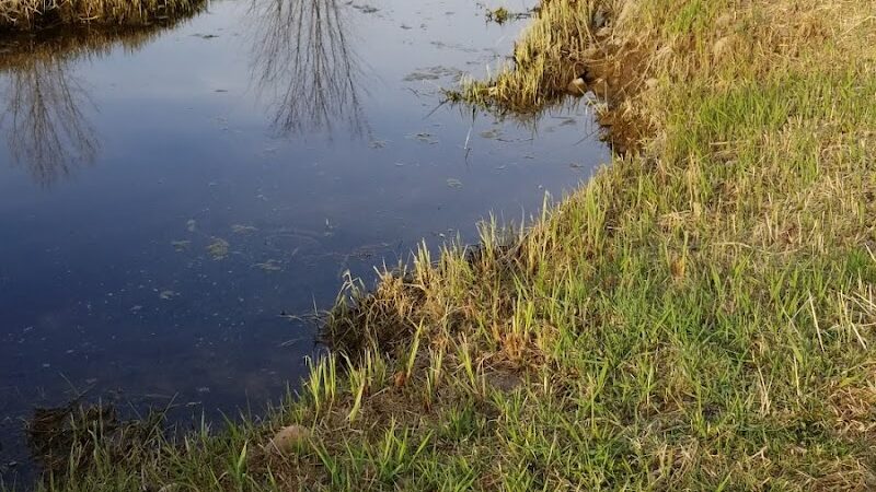 Tucker James Memorial Dog Park - Thorp, WI