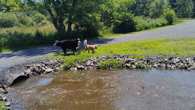 Tucker James Memorial Dog Park - Thorp, WI