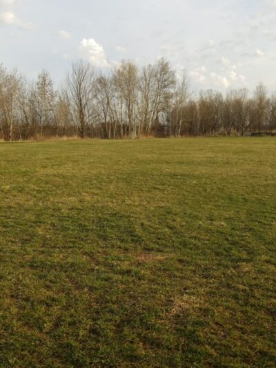 Tucker James Memorial Dog Park - Thorp, WI