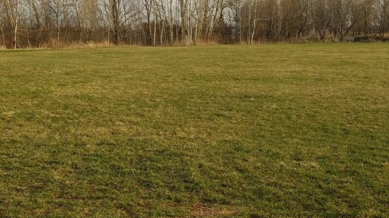 Tucker James Memorial Dog Park - Thorp, WI