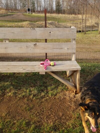 Tucker James Memorial Dog Park - Thorp, WI