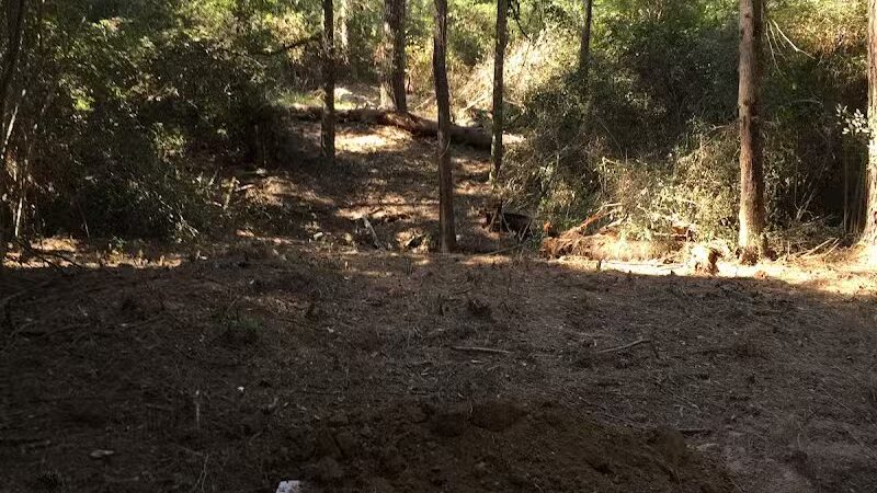 SoSo Park - Timpson, TX