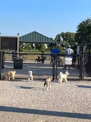 Tinley Park Park District Canine Campus (membership required) - Tinley Park, IL