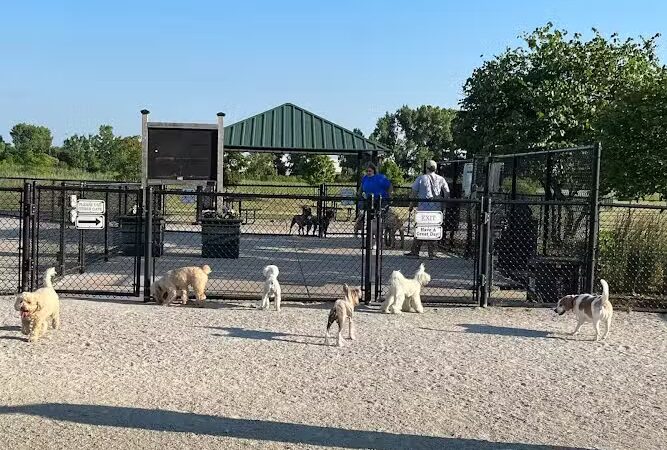 Tinley Park Park District Canine Campus (membership required) - Tinley Park, IL