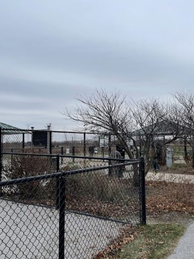 Tinley Park Park District Canine Campus (membership required) - Tinley Park, IL