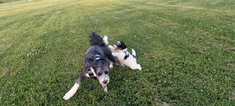 Tinley Park Park District Canine Campus (membership required) - Tinley Park, IL