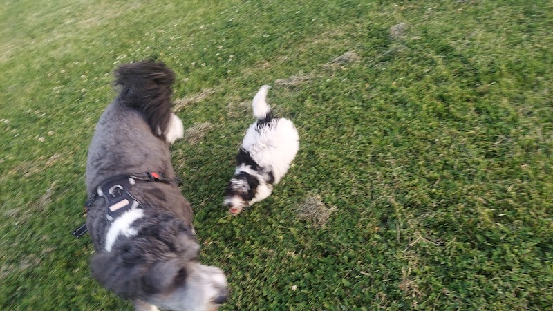 Tinley Park Park District Canine Campus (membership required) - Tinley Park, IL