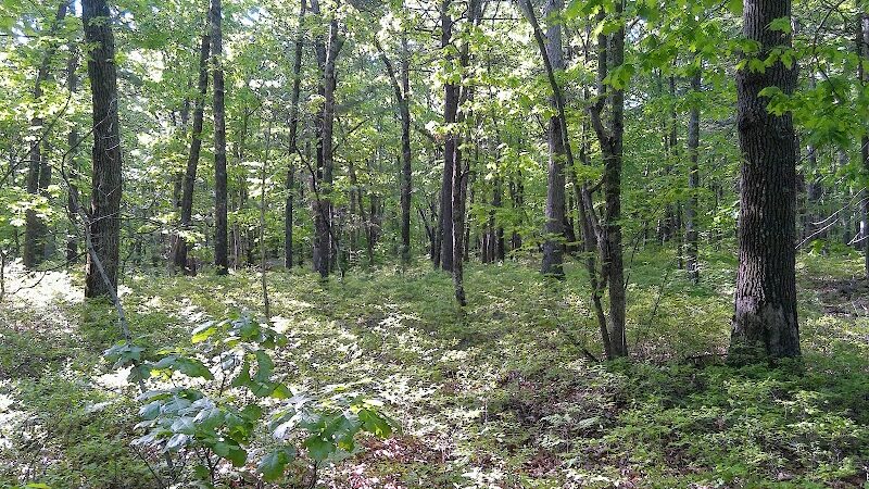 Crandall Park - Tolland, CT
