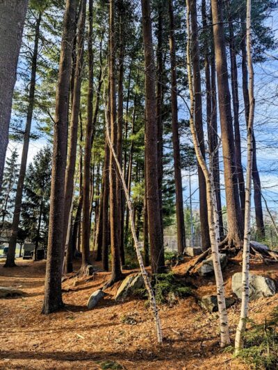 Crandall Park - Tolland, CT