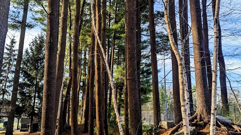 Crandall Park - Tolland, CT