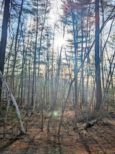 Crandall Park - Tolland, CT