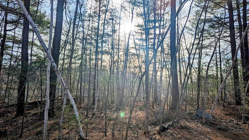 Crandall Park - Tolland, CT