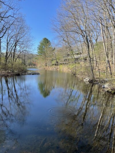 Crandall Park - Tolland, CT