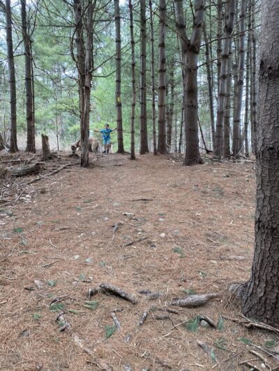 River Park - Tolland, CT