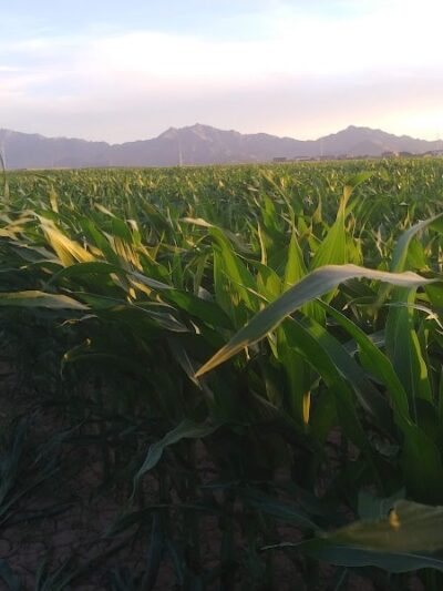 Country Place Tivoli HOA Nature Walk Trail - Tolleson, AZ