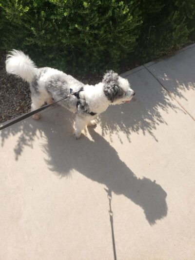 Country Place Tivoli HOA Nature Walk Trail - Tolleson, AZ