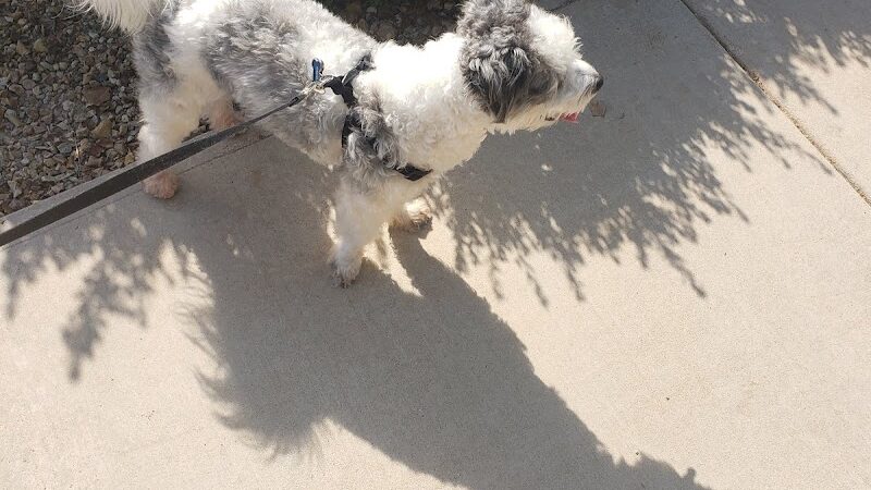 Country Place Tivoli HOA Nature Walk Trail - Tolleson, AZ