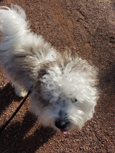 Country Place Tivoli HOA Nature Walk Trail - Tolleson, AZ