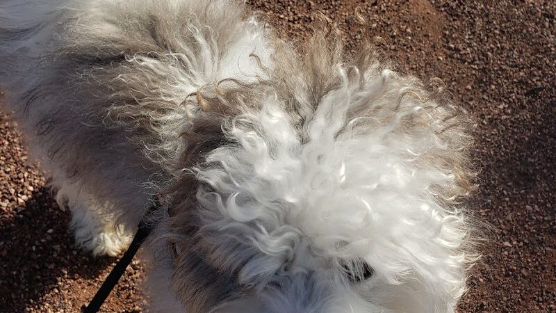 Country Place Tivoli HOA Nature Walk Trail - Tolleson, AZ
