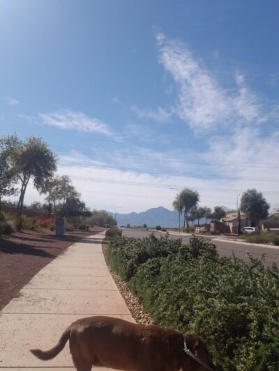 Country Place Tivoli HOA Nature Walk Trail - Tolleson, AZ