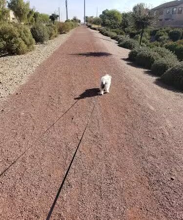 Country Place Tivoli HOA Nature Walk Trail - Tolleson, AZ