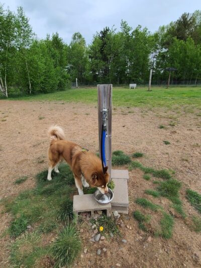 Tomahawk Dog Park - Tomahawk, WI