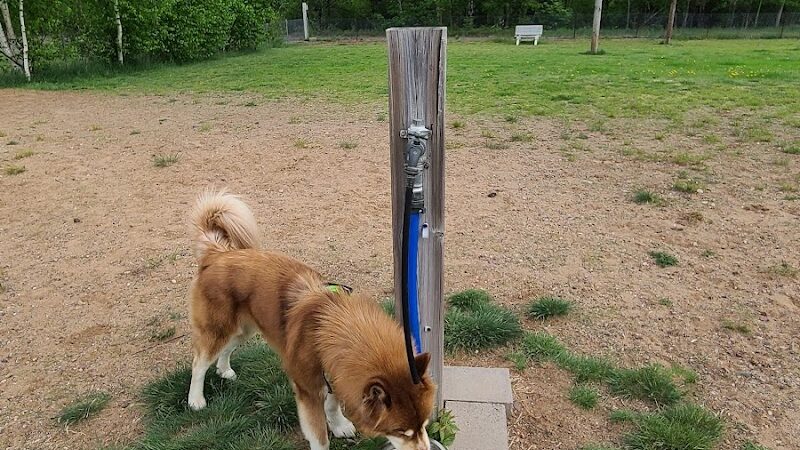 Tomahawk Dog Park - Tomahawk, WI