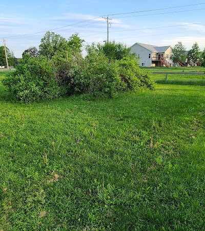 Tomahawk Dog Park - Tomahawk, WI