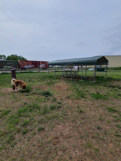 Tomahawk Dog Park - Tomahawk, WI